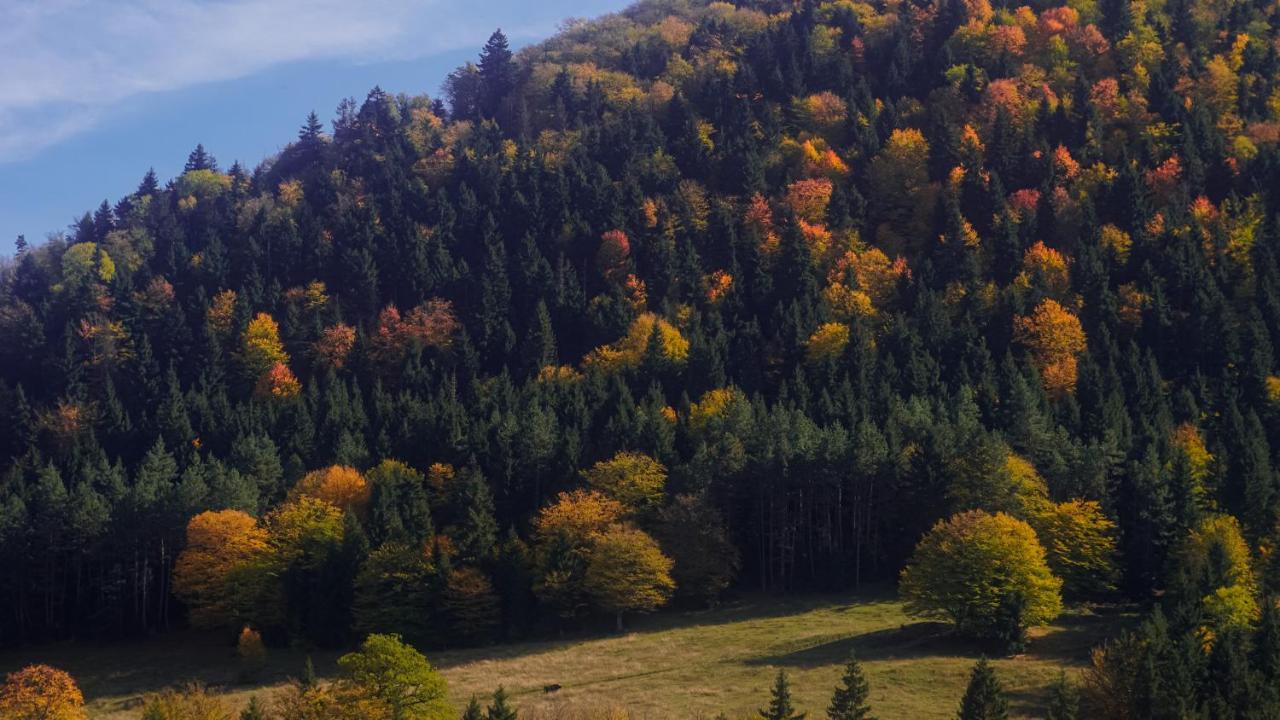 Landhaus Bordżomi Zewnętrze zdjęcie