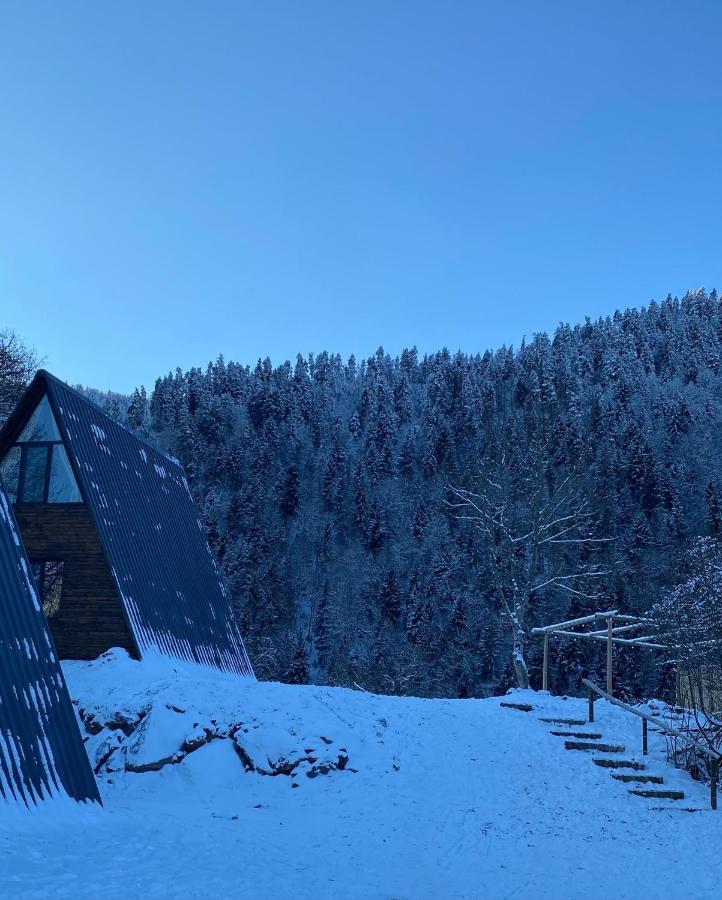 Landhaus Bordżomi Zewnętrze zdjęcie